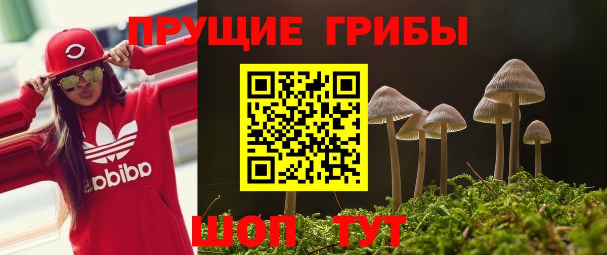 Псилоцибиновые грибы ЛСД Нурлат